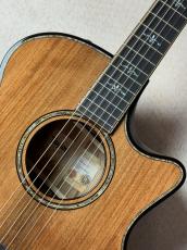 Taylor 【試奏動画あり】Builder's Edition 914ce #1202164077_3
