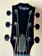 Taylor 【試奏動画あり】Custom GA #13031 UrbanAsh_5