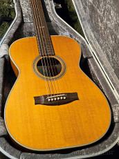 Maton Custom Shop TE Personal by Andy Allen -2022USED!!-【48回迄金利0%対象】