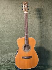 Maton Custom Shop TE Personal by Andy Allen -2022USED!!-【48回迄金利0%対象】_5