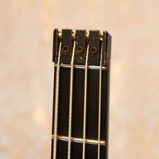 Steinberger XP-2_3
