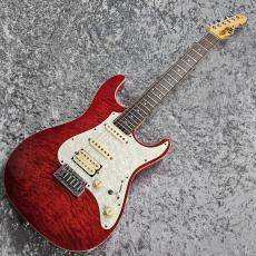 ESP SNAPPER-CTM_2