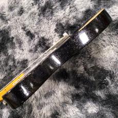 Fender Brad Paisley Esquire Black Sparkle【特価】【2025年製】_9