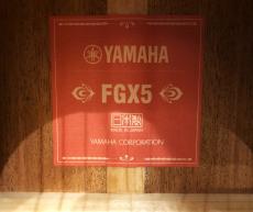 YAMAHA FGX5_9