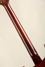Paul Reed Smith [PRS] Paul's Guitar R&D 10Top Copper_7