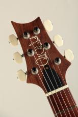 Paul Reed Smith [PRS] Paul's Guitar R&D 10Top Copper_8