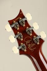 Paul Reed Smith [PRS] Paul's Guitar R&D 10Top Copper_9