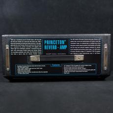 Fender 68 Custom Princeton Reverb 100V JPN_4