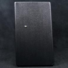 Fender Blues Junior IV 100V JPN_6