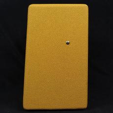 Fender Pro Junior IV Lacquered Tweed 100V JPN_5
