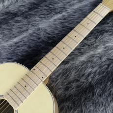 Ibanez PN29E Open Pore Natural_2