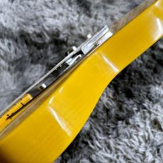 Fender Limited Edition Road Worn '50s Telecaster, Maple Fingerboard, Butterscotch Blonde_9