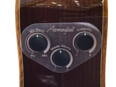 YAMAHA NTX5_8