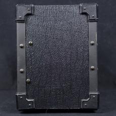 Roland JC-20_5