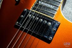 Gibson Les Paul GT / 2006_6