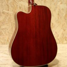 Epiphone Inspired by Gibson Hummingbird Standard EC CS_2