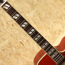 Epiphone Inspired by Gibson Hummingbird Standard EC CS_6