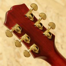 Epiphone Inspired by Gibson Hummingbird Standard EC CS_9