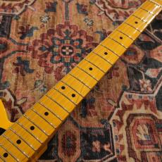 Fender Limited Edition Road Worn '50s Telecaster Maple Fingerboard / Butterscotch Blonde_5