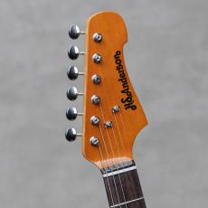 H.S.Anderson HS-3S / Golden Brown_9