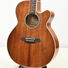 Takamine 【クロサワ横浜店】【ハワイアンコアボディ】FPT531KC N 【48回無金利分割可能】