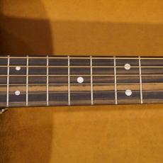 Martin D-10E Retro_6