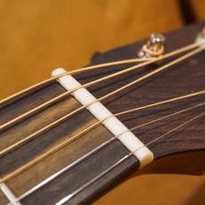 Martin D-10E Retro_7