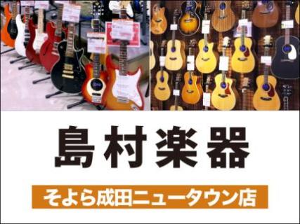 島村楽器 そよら成田ニュータウン店_1