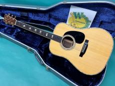 Martin D-41 