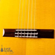 K.Yairi CE-3 Custom_3