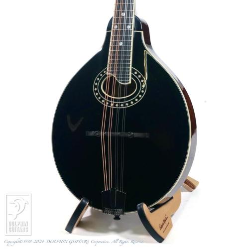 Eastman MD-404/BK【48回無金利対象品】