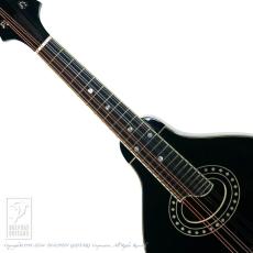 Eastman MD-404/BK【48回無金利対象品】_5