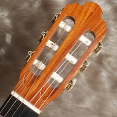 Richard Schmidt No.8915_8
