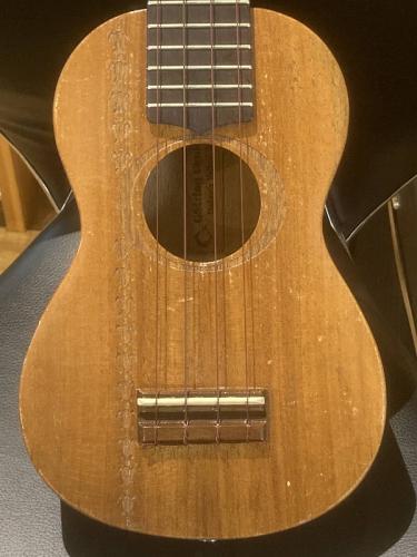 G String HONU 海亀