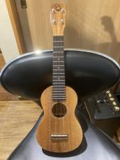 G String HONU 海亀_2