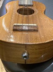 G String HONU 海亀_3