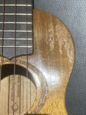 G String HONU 海亀_4