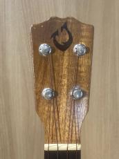 G String HONU 海亀_6