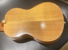 G String HONU 海亀_7