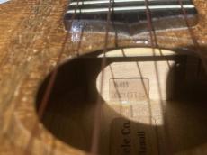 G String HONU 海亀_8