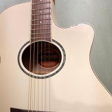 YAMAHA APX600 / VWH_2