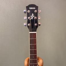 YAMAHA APX600 / VWH_5