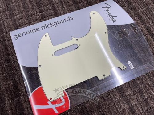 Fender Tele STD Mint Green 3ply 8holes