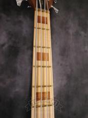 Warwick 2011 Streamer LX4 Ltd 2011_5