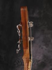Warwick 2011 Streamer LX4 Ltd 2011_10