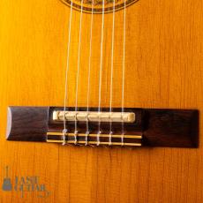 Gibson Chet Atkins CE ’91_3
