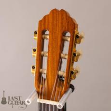 Gibson Chet Atkins CE ’91_6