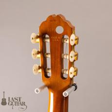 Gibson Chet Atkins CE ’91_7