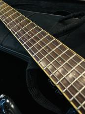 Mosrite Mark-I Ranger_5