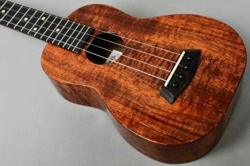 Kanile'a KSE SC Premium ConcertLongNeck【USED/2018年】
